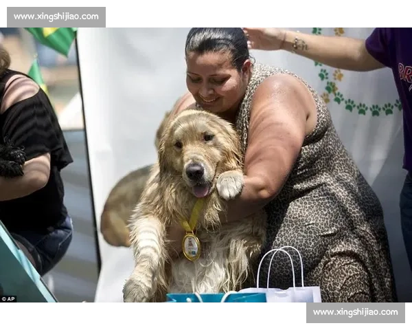 全球顶级狗狗竞技大赛精彩角逐各品种犬类同场比拼智慧与速度魅力